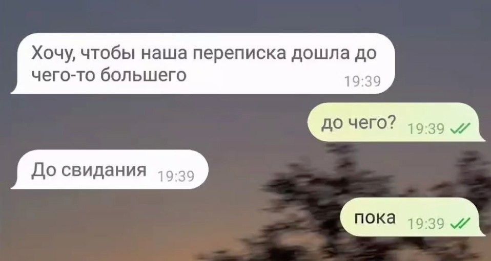 Хочу чтобы наша переписка дошла до чего то большего до чего 1939 4 До свидания пока 1939