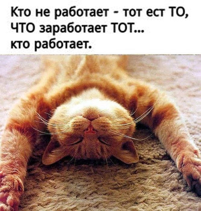 Кто не работает тот ест ТО ЧТО заработает ТОТ кто работаеті