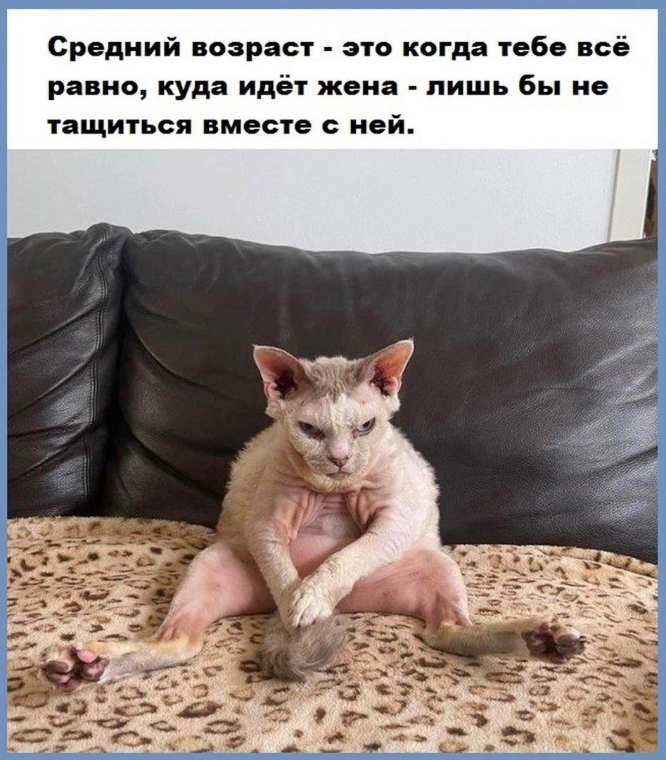 Средний возраст это когда тебе всё равно куда идёт жена лишь бы не тащиться вместе с ней