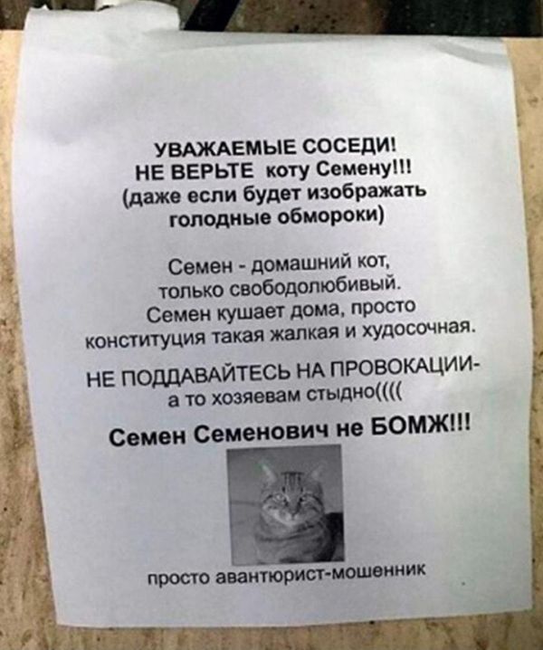 ш на ЗОООИ УВАЖАЕМЫЕ СОСЕДИ НЕ ВЕРЬТЕ коту Семену даже если будет изображать голодные обмороки Семен домашний кот И только свободолюбивый Семен кушает дома просто конституция такая жалкая и худосочная НЕ ПОДДАВАЙТЕСЬ НА ПРОВОКАЦИИ ато хозяевам стыдно Семен Семенович не БОМЖ