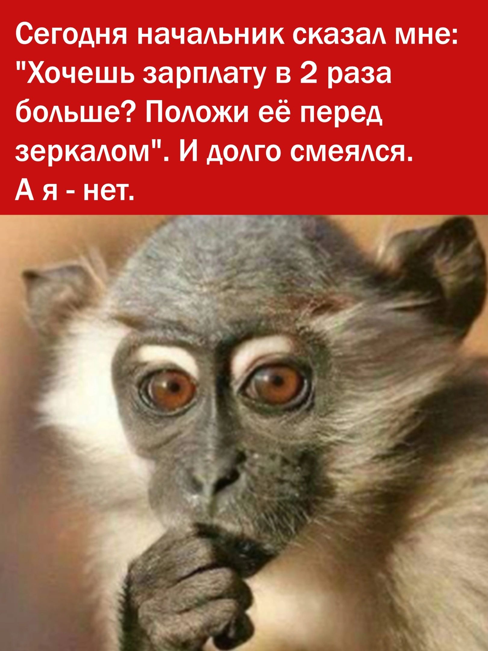 Сегодня начальник сказал мне Хочешь зарплату в 2 раза больше Положи её перед зеркалом И долго смеялся Ая нет
