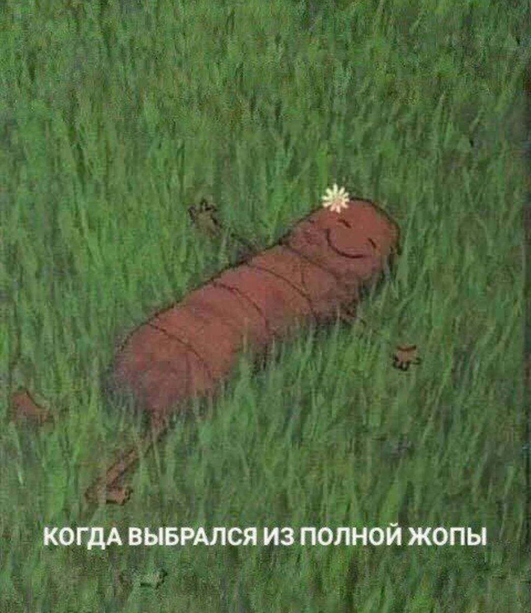 а УГ КОГДА ВЫБРАЛСЯ ИЗ ПОЛНОЙ ЖОПЫ У4