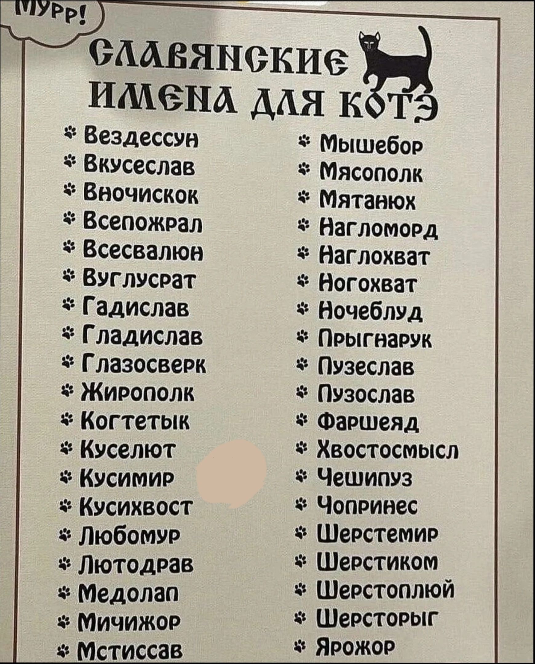 6 Вездессун Вкусеслав Вночискок Всепожрал Всесвалюв ВУгЛУСРат Гадислав Гладислав Глазосверк Жирополк Когтетык Куселют КусимиР Кусихвост Любомур ЛютодРав Медолап МИчИЖоР Мстиссав ЛАБВЯНСКИЕ ИМ6еНА дАя кёт Мышебор Мясополк Мятавюх Нагломорд Наглохват Вогохват Ночеблуд ПРЫГНарук Пузеслав Пузослав Фаршеяд Хвостосмысл Чешипуз Чопринес Шерстемир Шерстиком Шерстоплюй Шерсторыг ЯРожоР