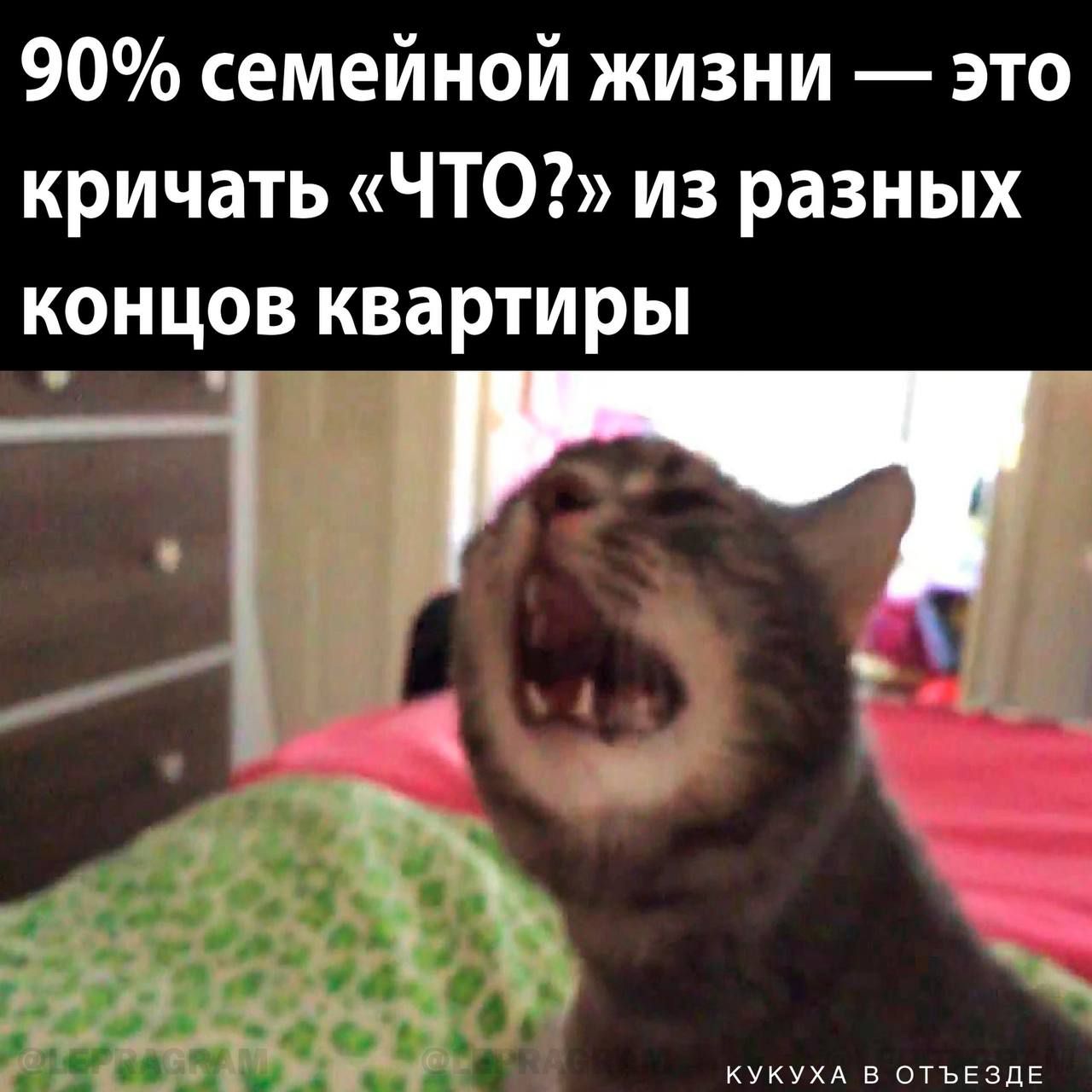 90 семейной жизни это кричать ЧТО из разных концов квартиры КУКУХА В ОТЪЕЗДЕ