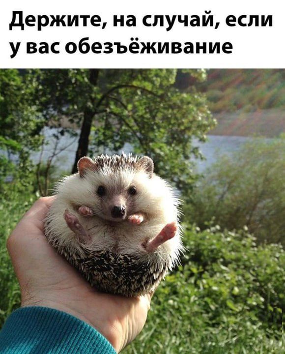 Держите на случай если у вас обезъёживание