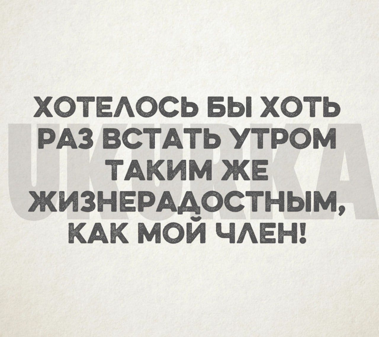 ХОТЕЛОСЬ БЫ ХОТЬ РАЗ ВСТАТЬ УТРОМ ТАКИМ ЖЕ ЖИЗНЕРАДОСТНЫМ КАК МОЙ ЧЛЕН