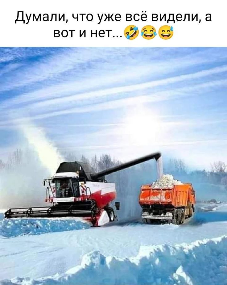 Думали что уже всё видели а вотинетФ