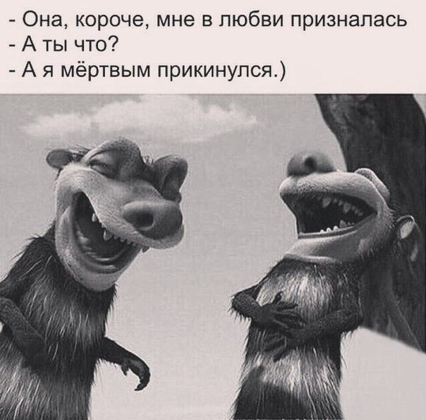 Она короче мне в любви призналась Аты что Ая мёртвым прикинулся