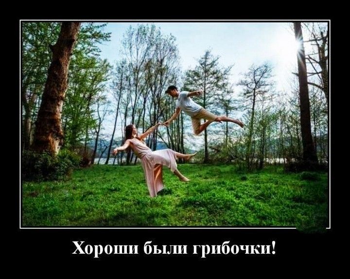 Хороши были грибочки