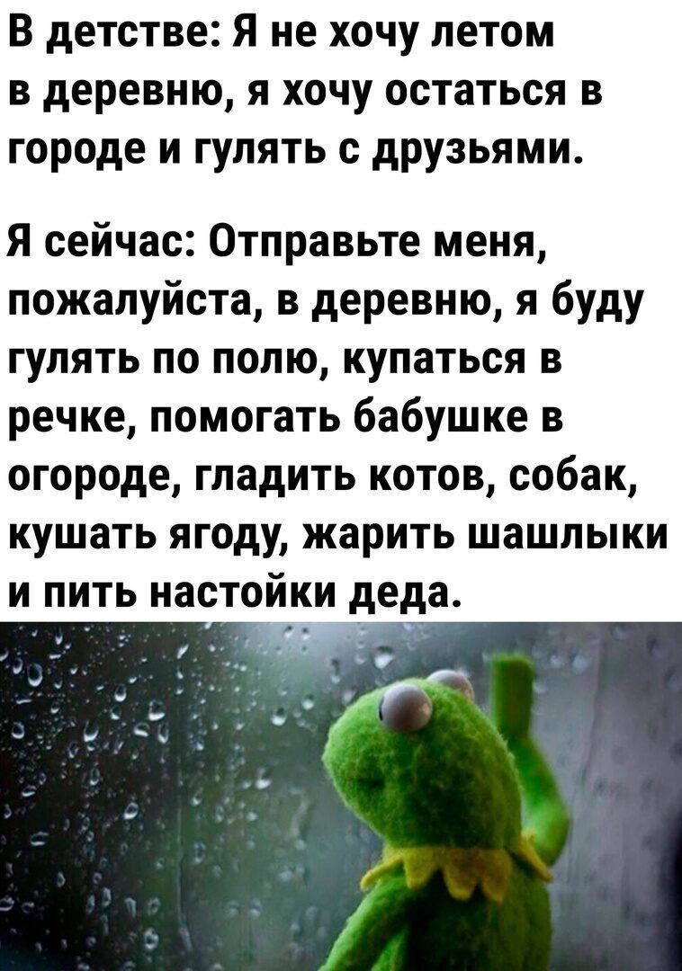 В детстве Я не хочу летом в деревню я хочу остаться в городе и гулять с друзьями Я сейчас Отправьте меня пожалуйста в деревню я буду гулять по полю купаться в речке помогать бабушке в огороде гладить котов собак кушать ягоду жарить шашлыки и пить настойки деда