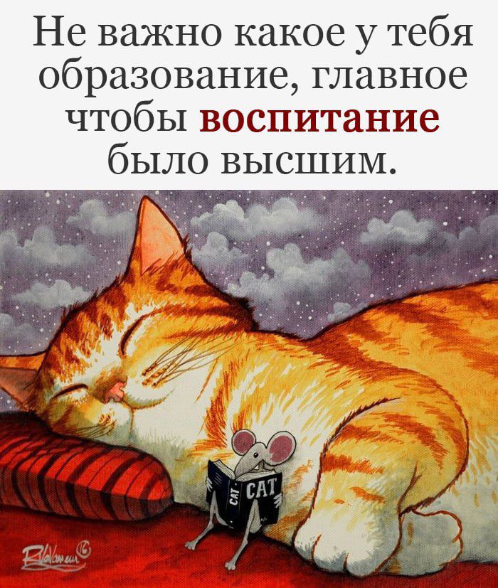 Не важно какое у тебя образование главное чтобы воспитание было высшим
