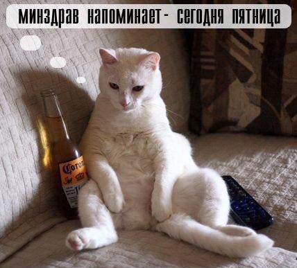 Минздрав напоминает ВегОдНЯ ЛЯТНИЦа