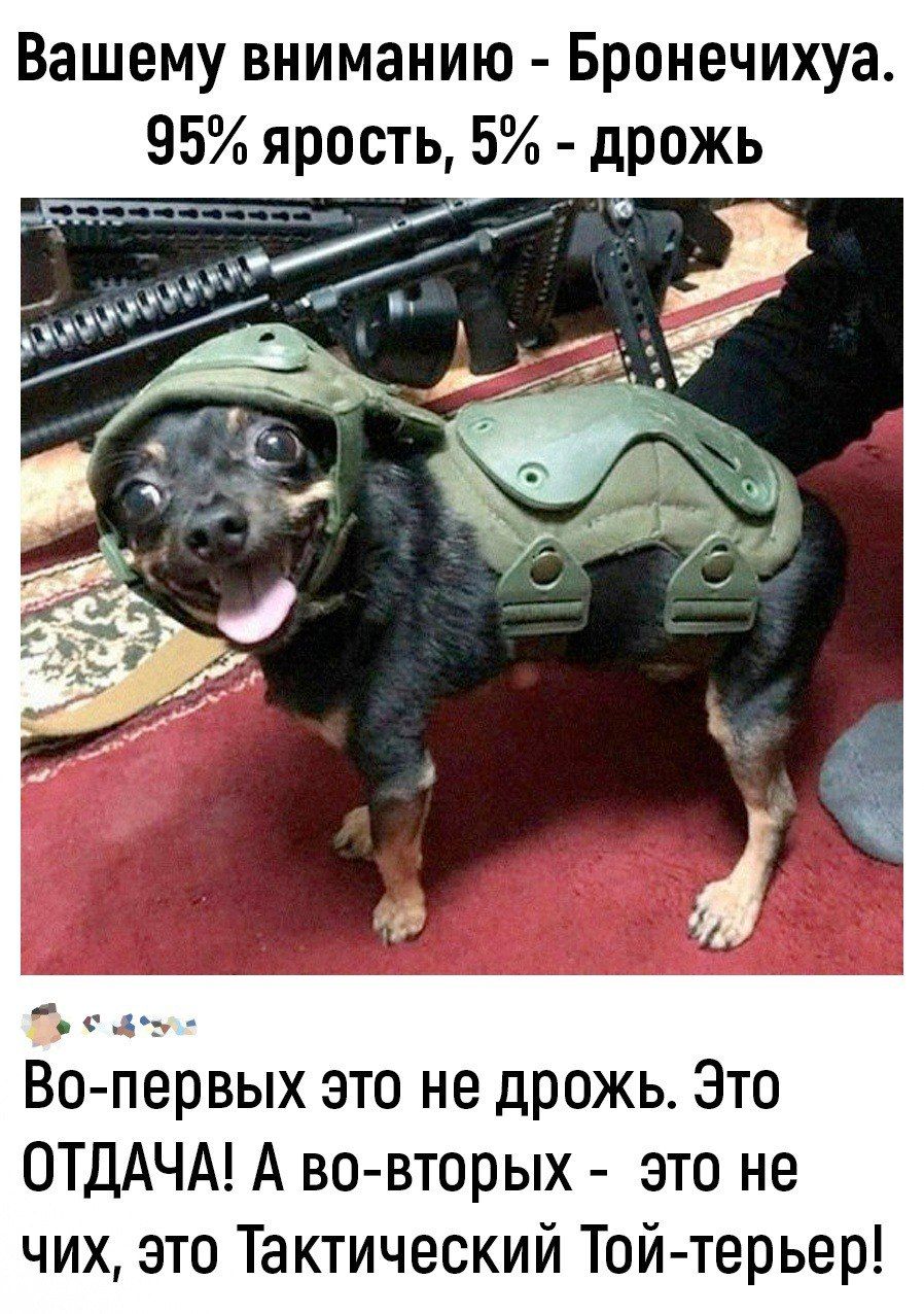 Вашему вниманию Бронечихуа 95 ярость 5 дрожь ъ с ле ВО пёрвьпх это не дрожь Это ОТДАЧА А во вторых это не чих это Тактический Той терьер