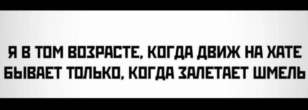 Я В ТОМ ВОХРАСТЕ КОГДА ДВИЖ НА ХАТЕ БЫВАЕТ ТОЛЬКО КОГДА ХАЛЕТАЕТ ШМЕЛЬ