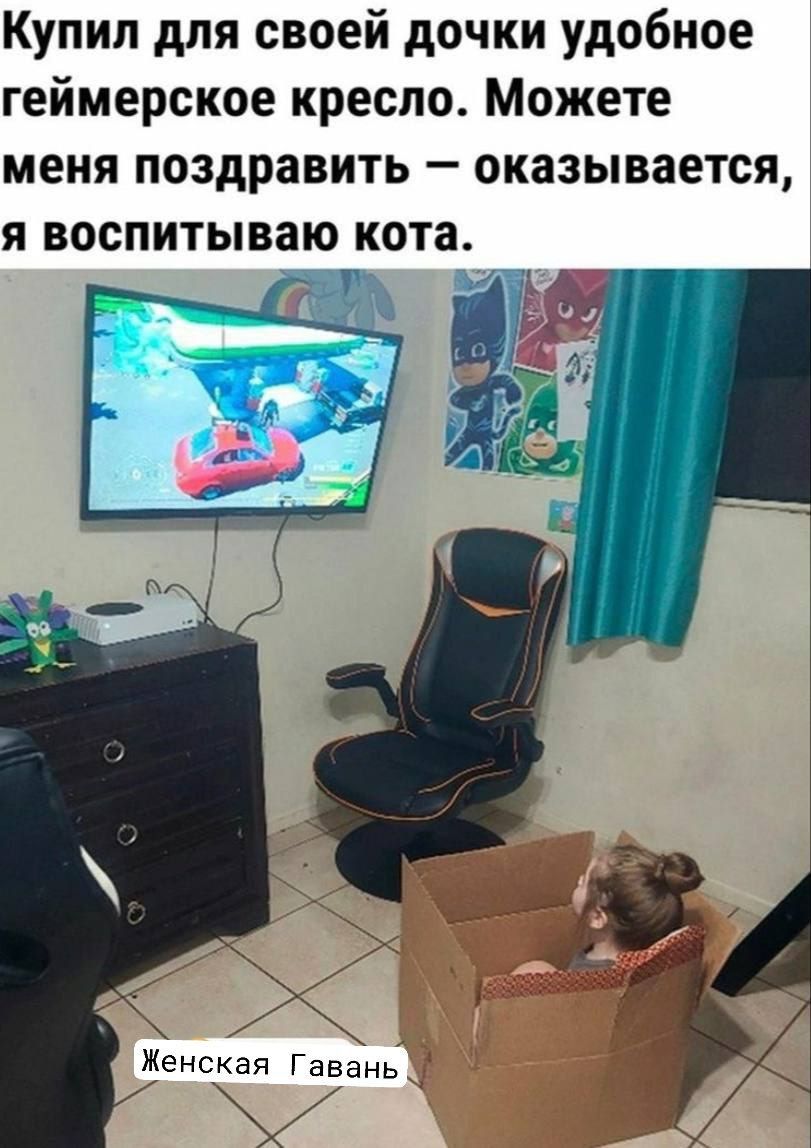 Купил для своей дочки удобное геймерское кресло Можете меня поздравить оказывается я воспитываю кота В Ч м7 Женская Гавань ч