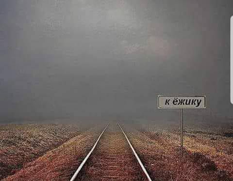 7 ёжику