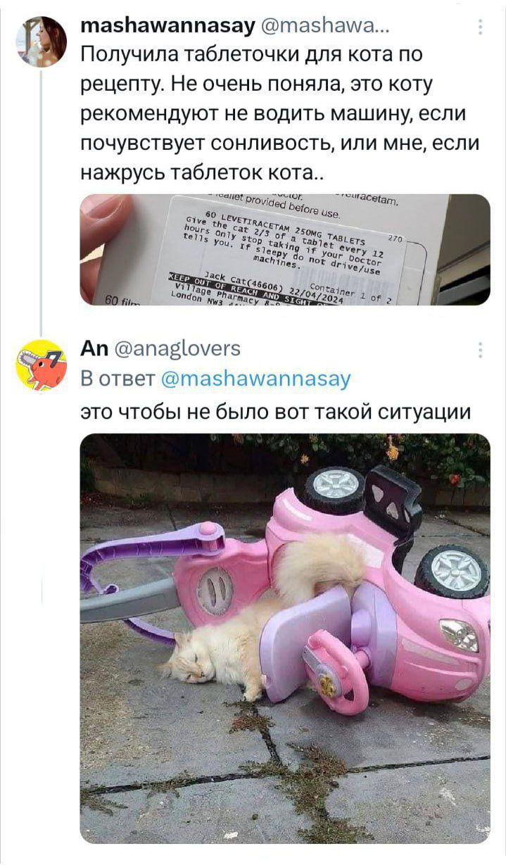 тасбаммаппазау тасРама Получила таблеточки для кота по рецепту Не очень поняла это коту рекомендуют не водить машину если почувствует сонливость или мне если нажрусь таблеток кота і Ап апавомегс В ответ па5Паммаппасау это чтобы не было вот такой ситуации а