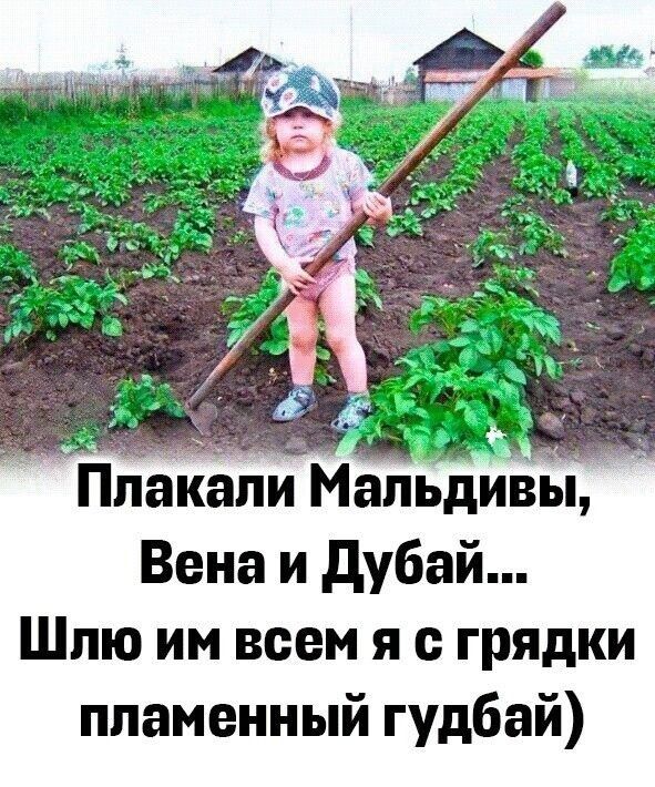 Плакали Мальдивы Вена и Дубай Шлю им всем я с грядки пламенный гудбай