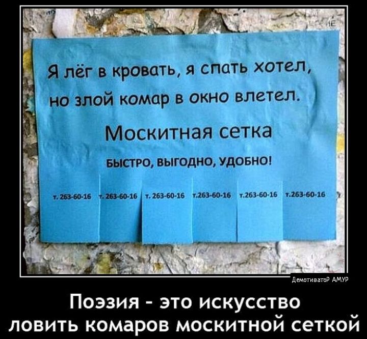 Поэзия это искусство ловить комаров москитной сеткой