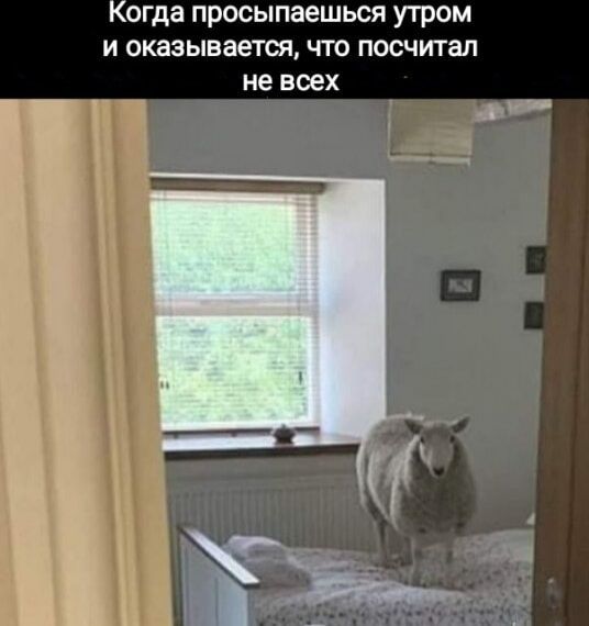 огда просыпаешься утром и оказывается что посчитал не всех