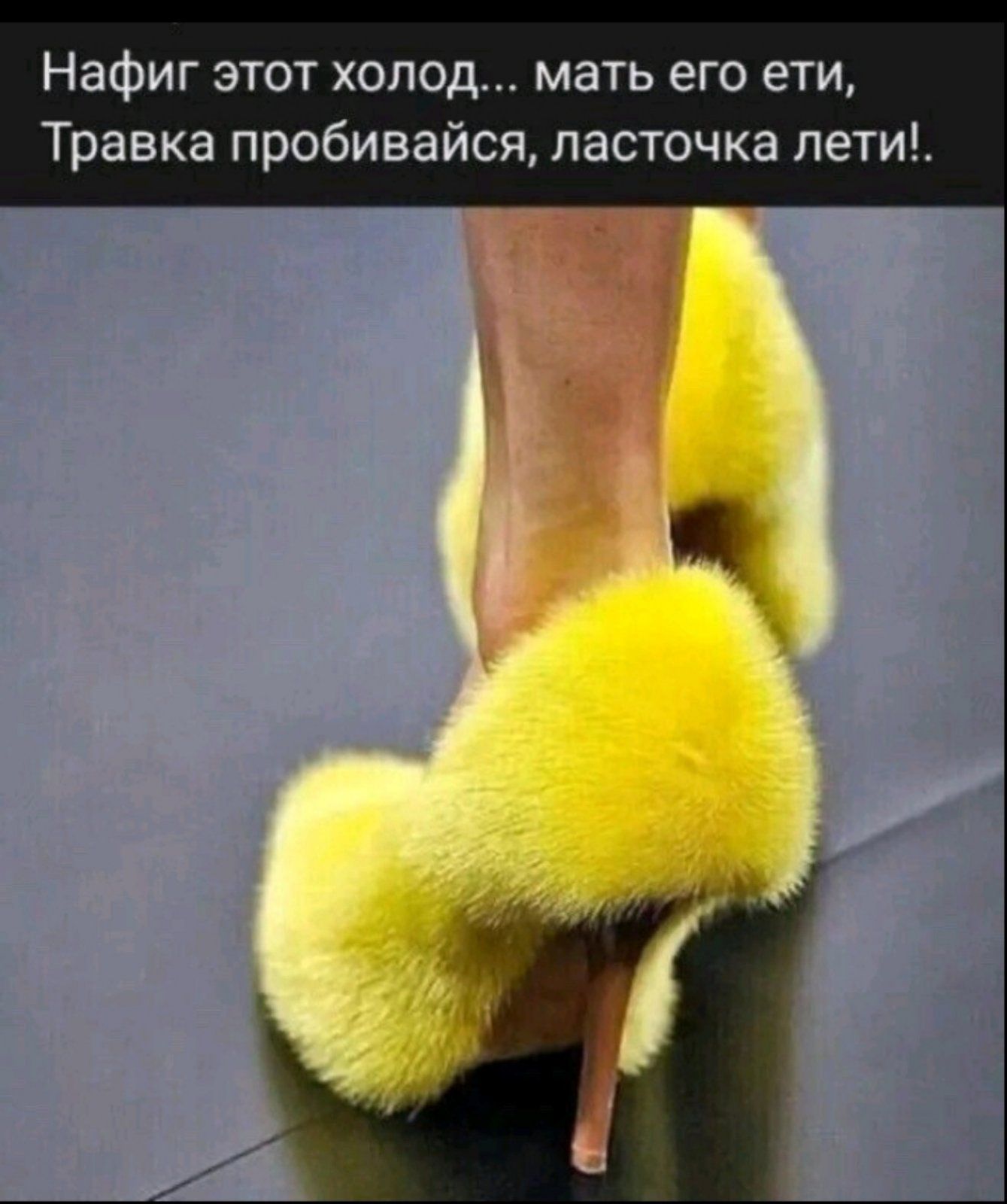 Нафиг этот холод мать его ети Травка пробивайся ласточка лети