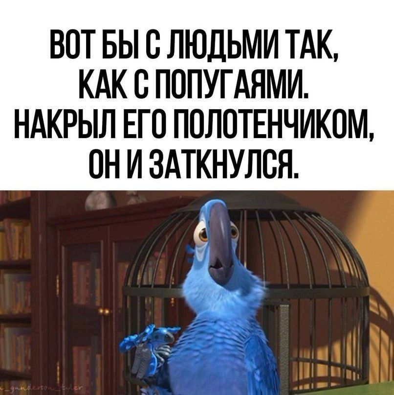 ВОТ БЫ С ЛЮДЬМИ ТАК КАК С ПОПУГАЯМИ НАКРЫЛ ЕГО ПОЛОТЕНЧИКОМ ОНИ ЗАТКНУЛСЯ