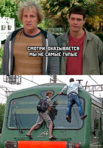 СМОТРИ ДОКАЗЫВАЕТСЯ МЫ НЕ САМЫЕ ТУПЫЕ
