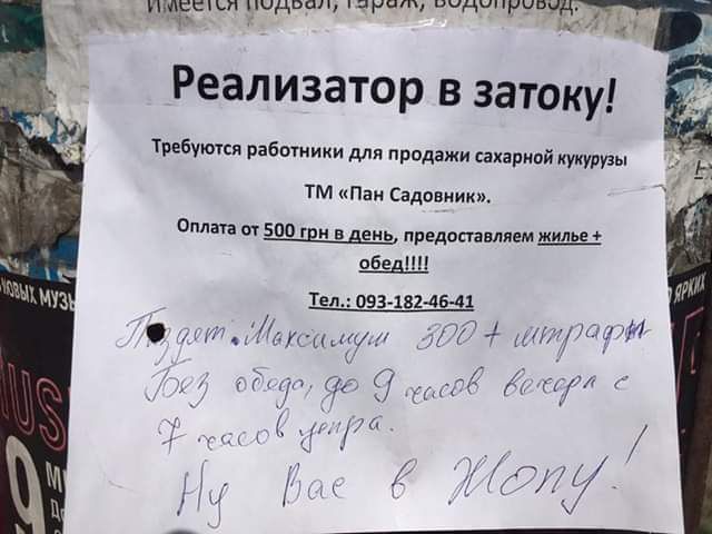 а е эеедёй ВМНВВЫ ЕВЕ Реализатор в затоку Требуются работники для продажи сахарной кукурузы ТМ Пан Садовник Оплата от 500 грн в день предоставляем жиль обедии Тел 093 182 46 41