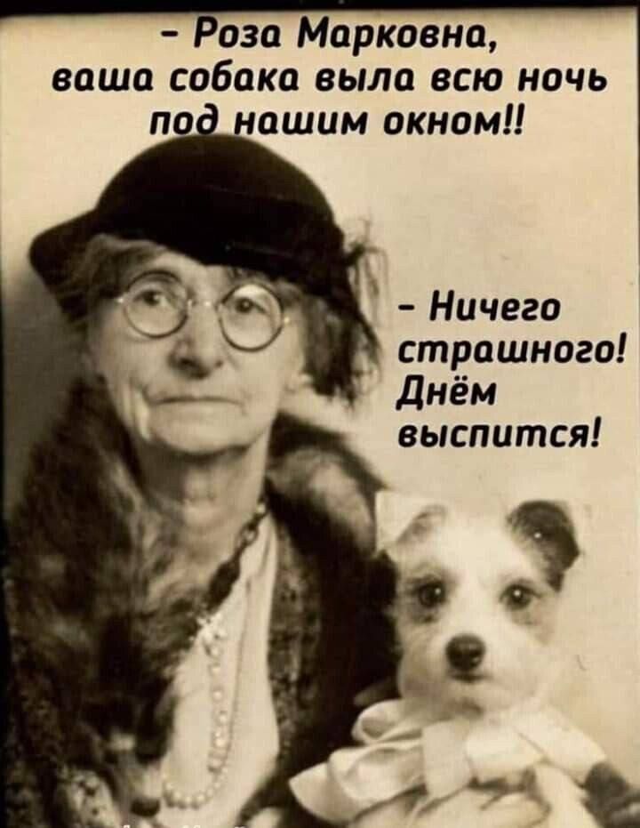 оза Марковна ваша собака выла всю ночь ашим окном Ничего страшного Днём выспится
