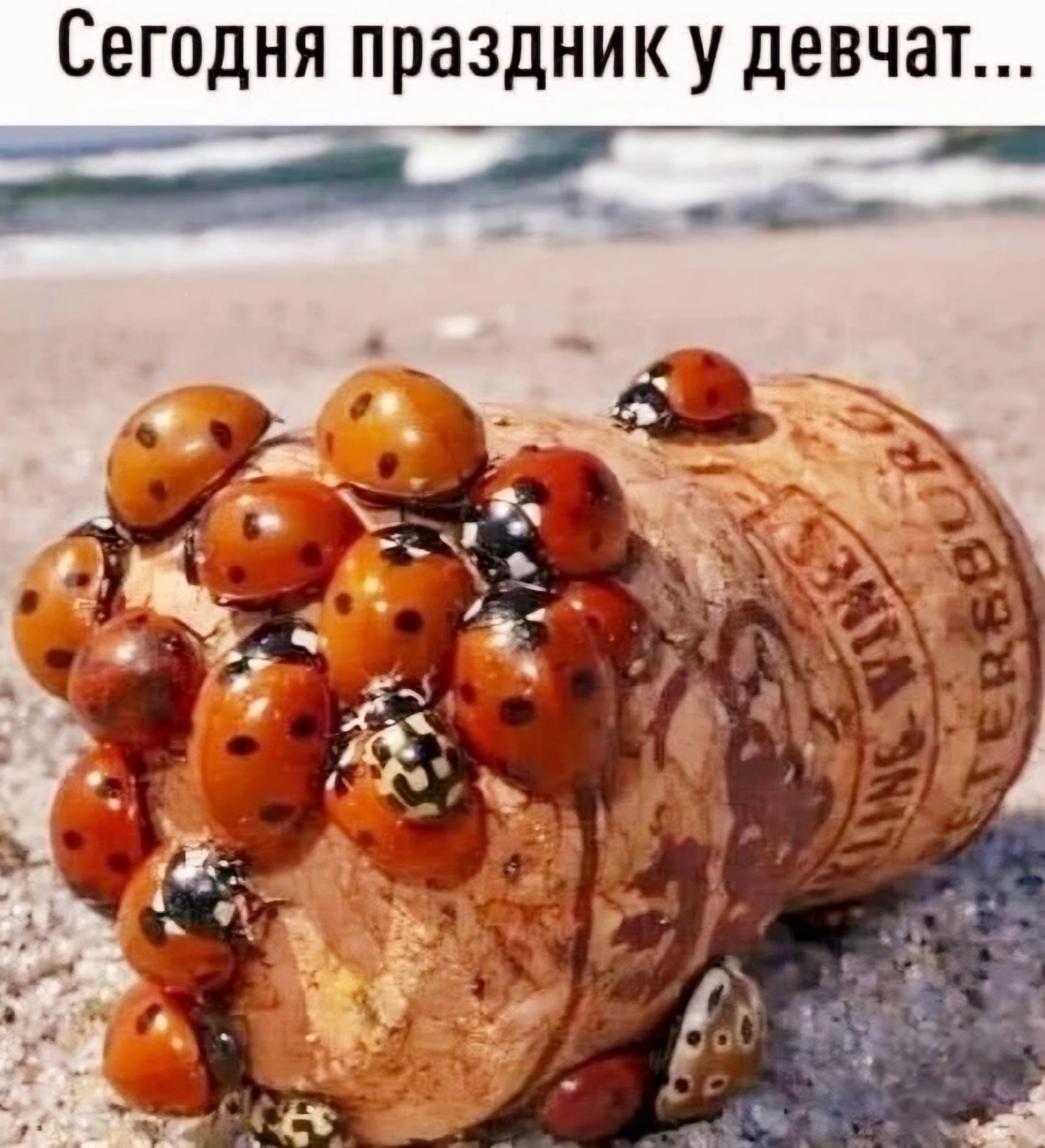 Сегодня праздник у девчат ч о оН