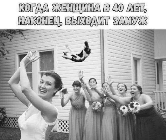 МОГМА ЗоАЕРДИТРОА 8 49 ЛУЕЛЬ НЕКОНЕПУВ ПОЛИЛЗ АН