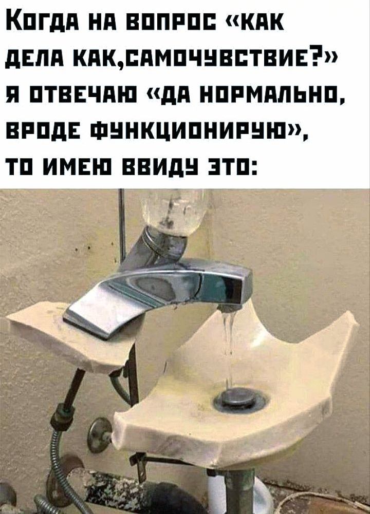 Когда НА ВОПРОС КАК ДЕЛА КАКСАМОЧЧУВСТВИЕ Я ОТВЕЧАЮ ДА НОРМАЛЬНО ВРОДЕ ФУНКЦИОНИРУЮ ТО ИМЕН ВВИДУ ЭТО