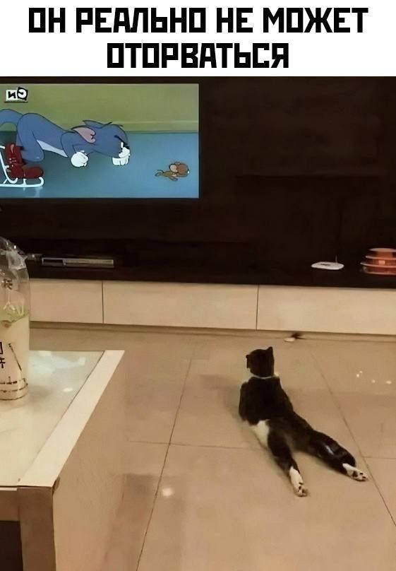 ОН РЕАЛЬНО НЕ МОЖЕТ ОТОРВАТЬСЯ