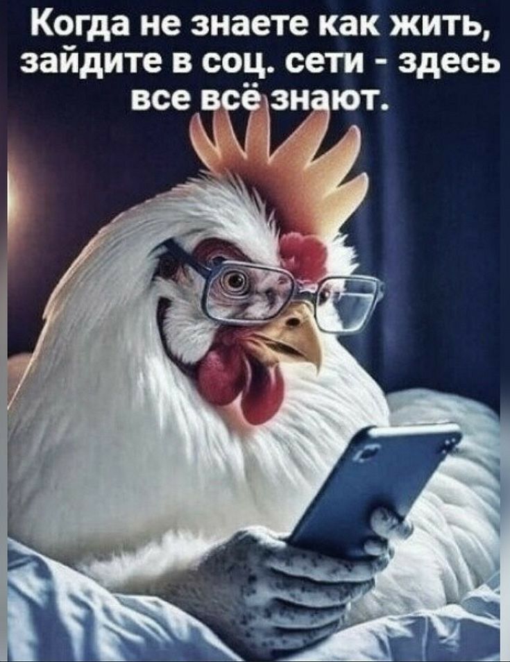 Когда не знаете как жить зайдите в соц сети здесь все всё1314 ют 2