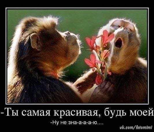 Ты самая красивая будь моей Ну Не зна а а а ю Уйссоту Йоготит