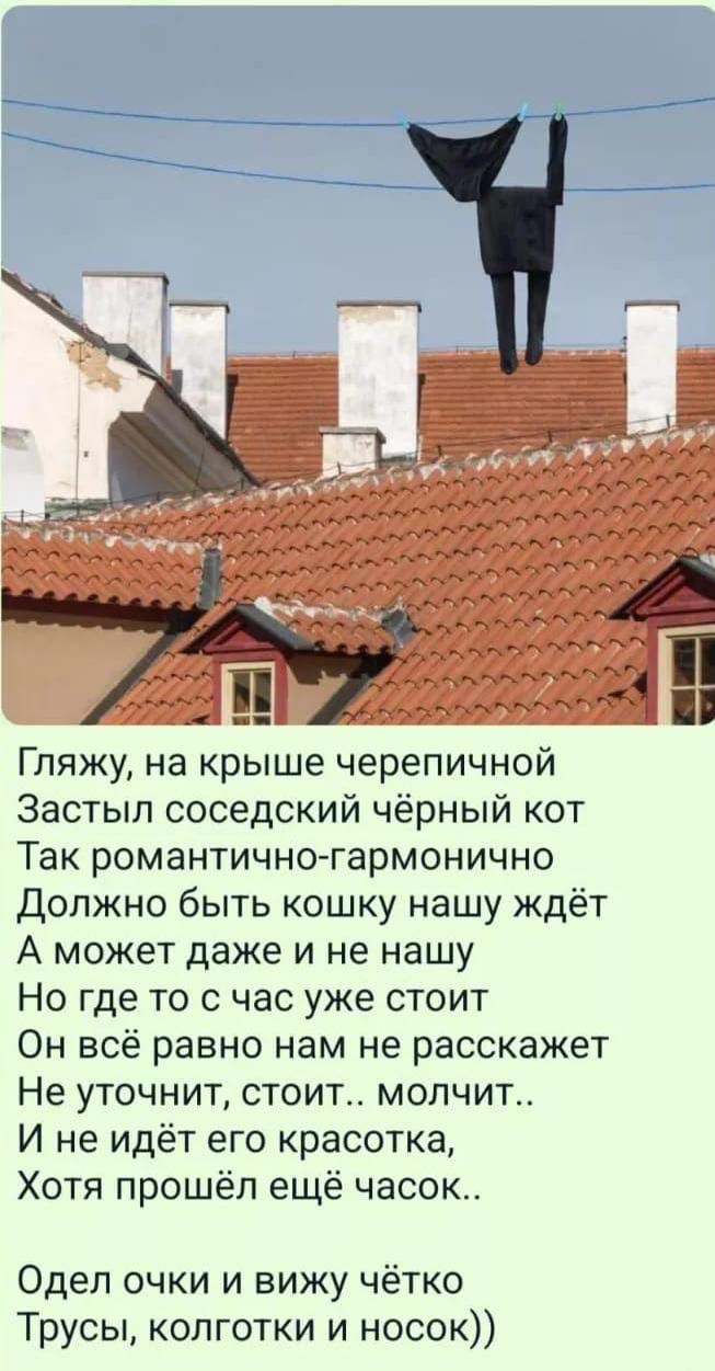 Гляжу на крыше черепичной Застыл соседский чёрный кот Так романтично гармонично Должно быть кошку нашу ждёт А может даже и не нашу Но где то с час уже стоит Он всё равно нам не расскажет Не уточнит стоит молчит И не идёт его красотка Хотя прошёл ещё часок Одел очки и вижу чётко Трусы колготки и носок