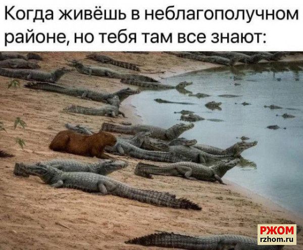 Когда живёшь в неблагополучном районе но тебя там все знаю