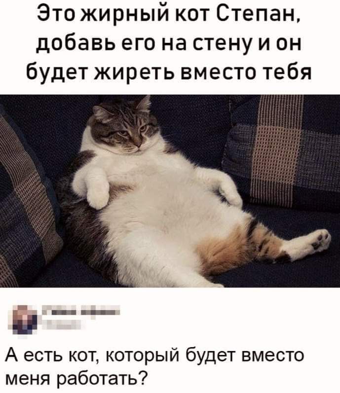 Это жирный кот Степан добавь его на стену и он будет жиреть вместо тебя А есть кот который будет вместо меня работать