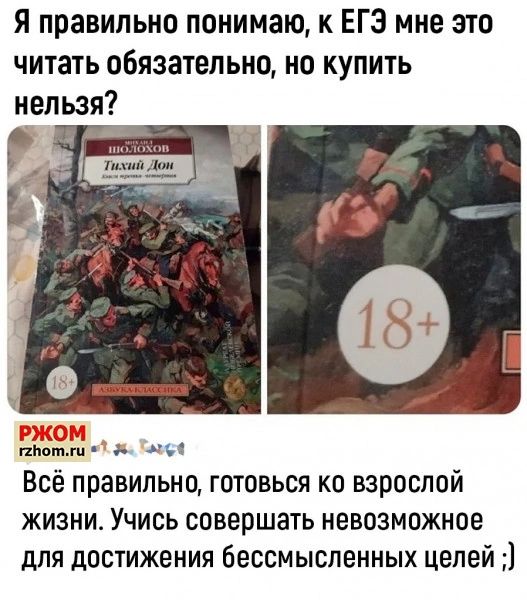 Я правильно понимаю к ЕГЭ мне это читать обязательно но купить Всё правильно готовься ко взрослой жизни Учись совершать невозможное для достижения бессмысленных целей