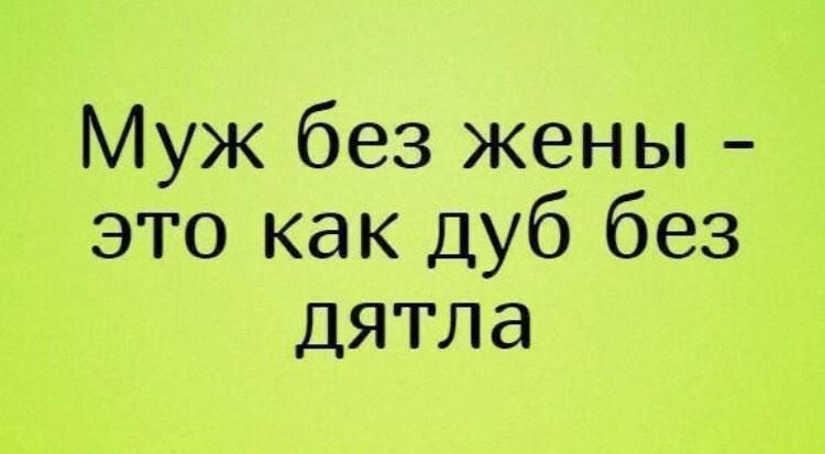 Муж без жены это как дуб без дятла