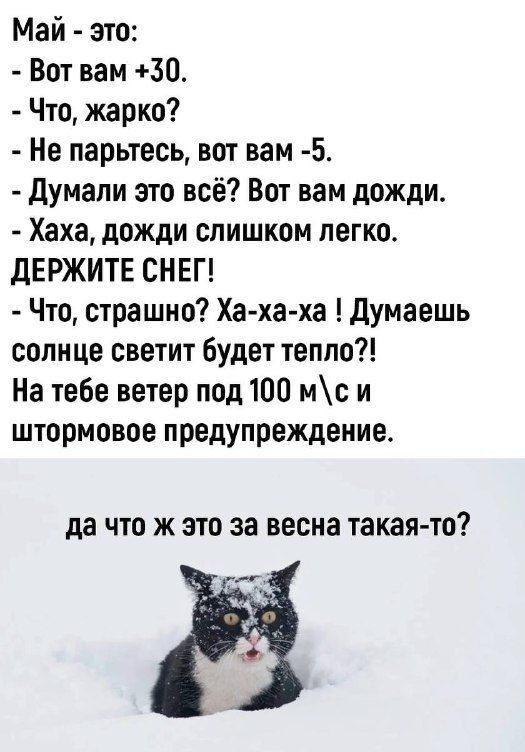 Май это Вот вам 50 Что жарко Не парьтесь вот вам 5 Думали это всё Вот вам дожди Хаха дожди слишком легко ДЕРЖИТЕ СНЕГ Что страшно Ха ха ха Думаешь солнце светит будет тепло На тебе ветер под 100 мси штормовое предупреждение да что ж это за весна такая то