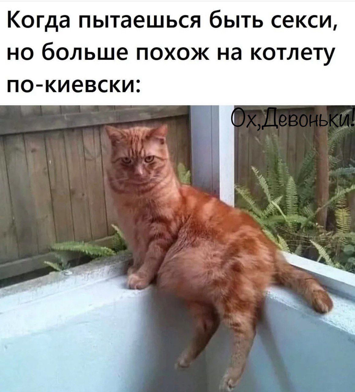 Когда пытаешься быть секси но больше похож на котлету по киевски