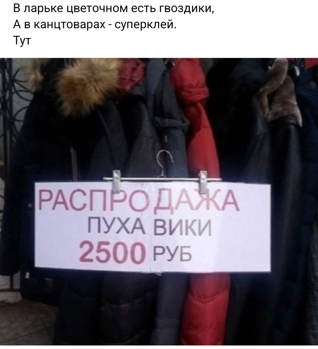 В ларьке цвето есть гвоздики Авканцтов ерклей тут