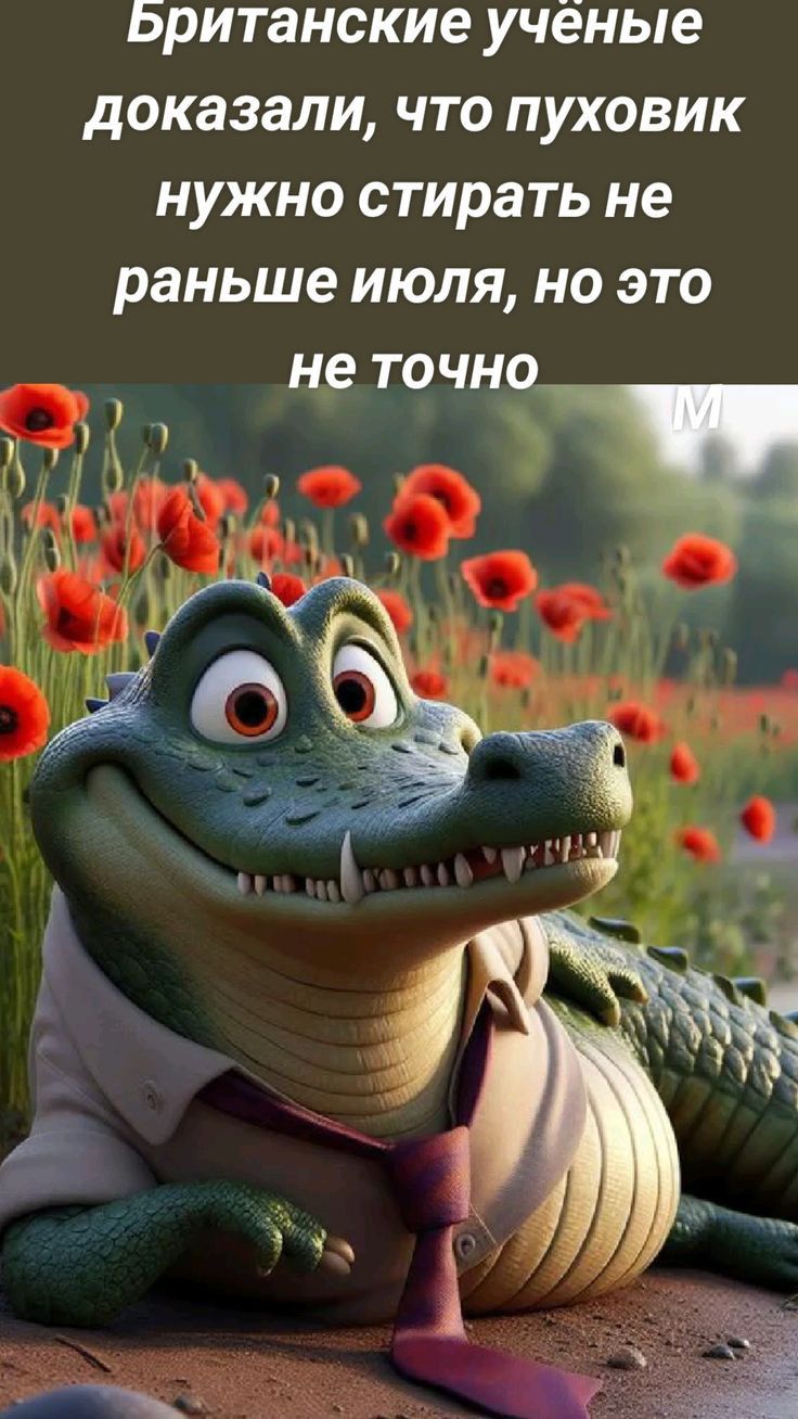 Британские ученые доказали что пуховик нужно стирать не ГЕТУТУТе Р М ее к