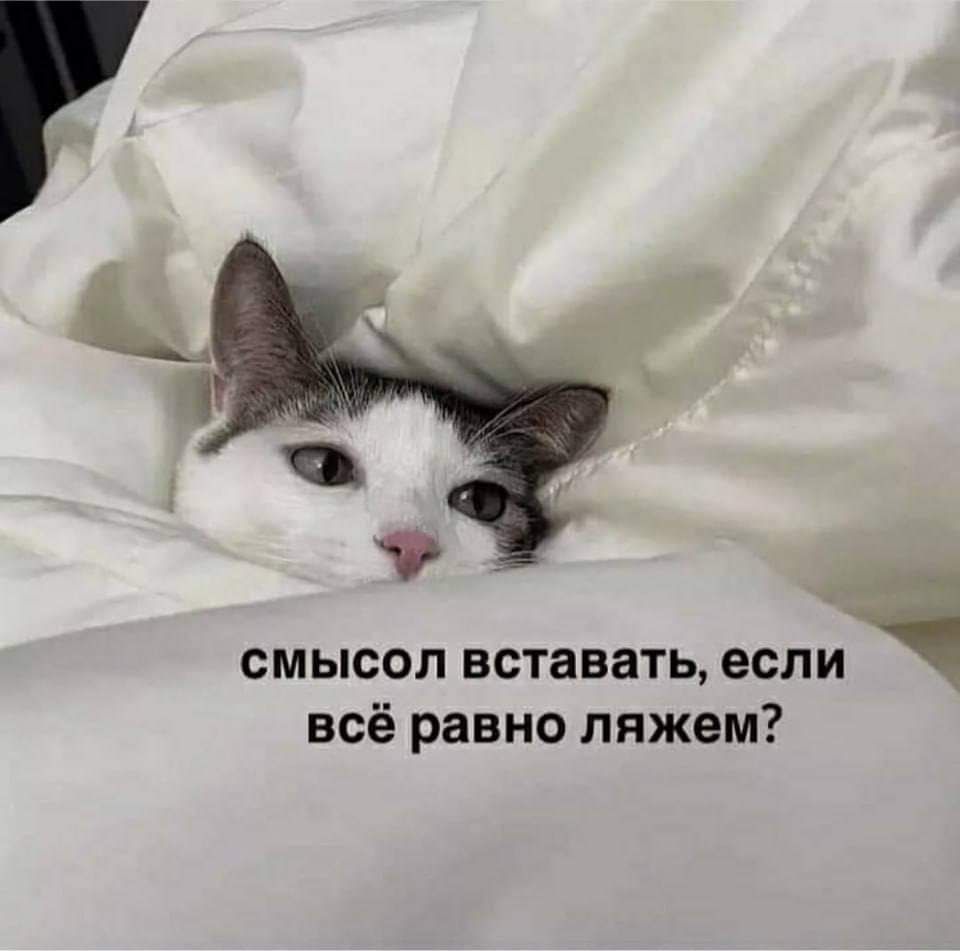 ь смысол вставать если всё равно ляжем