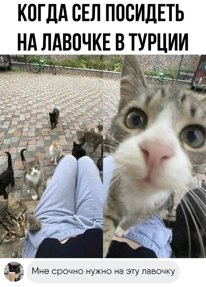 КОГДА СЕЛ ПОСИДЕТЬ НА ЛАВОЧКЕ В ТУРЦИИ _ Ч_ Мне срочно нужно на эту лавочку
