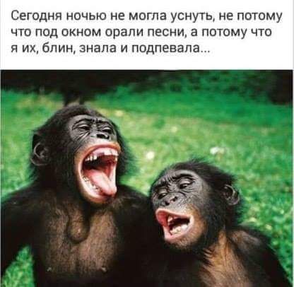 Сегодня ночью не могла уснуть не потому что под окном орали песни а потому что я их блин знала и подпевала