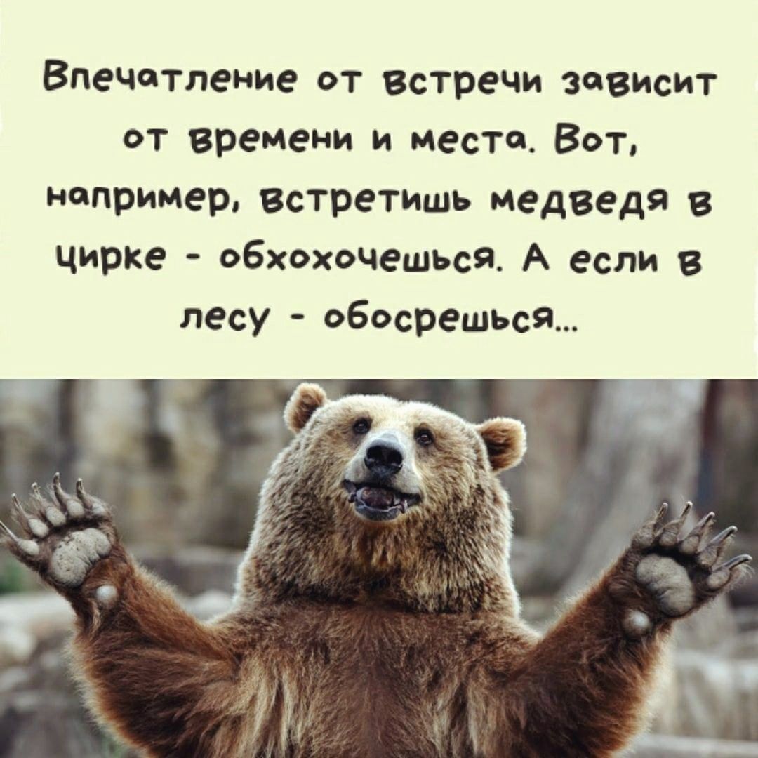 Впечотление от встречи зовисит от времени и место Вот нопример встретишь медведя в цирке обхохочешься А если в лесу обосрешься