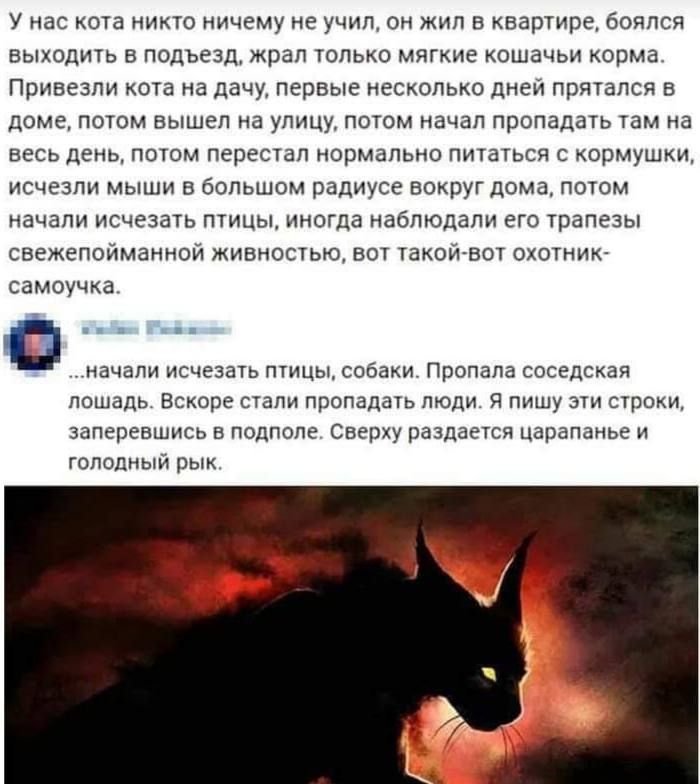 У нас кота никто ничему не учил он жил в квартире боялся выходить в подъезд жрал только мягкие кошачьи корма Привезли кота на дачу первые несколько дней прятался в доме потом вышел на улицу потом начал пропадать там на весь день потом перестал нормально питаться с кормушки исчезли мыши в большом радиусе вокруг дома потом начали исчезать птицы иногда наблюдали его трапезы свежепойманной живностью в