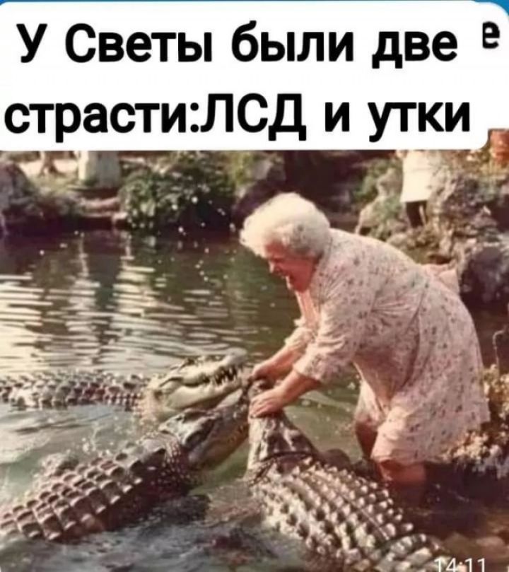 У Светы были две страстиЛСд и утки